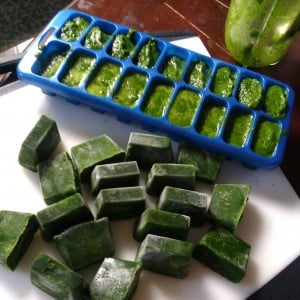 Kale Ice Cubes
